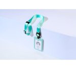 AVERY Porte-carte avec tour de cou, vert pastel