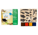 Tampon sodertex oiseaux a creer + 4 encreurs 17x13cm    coloris assortis pack 22 pcs