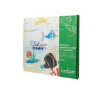 Tampon sodertex poissons a creer + 4 encreurs 17x13cm    coloris assortis pack 21 pcs