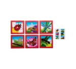 Puzzles souples avec cadre rolf les insectes 6 puzzles   de 9 pieces