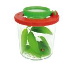 Materiel d observation eduplay boite loupe grand     modele quadrillage 5 mm       tailles des animaux plastique