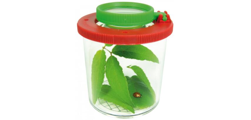 Materiel d observation eduplay boite loupe grand     modele quadrillage 5 mm       tailles des animaux plastique