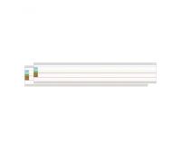 Bande lignee magnetique grand format nathan lot de 2
