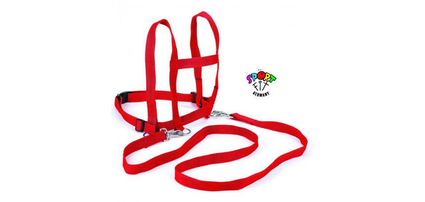 Jeux de coordination et d equilibre sport fit germany   harnais de jeux nylon 2       mousquetons 1m toure de