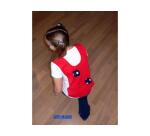 Cibles et balles first loisirs jeu de la poule et du renard 12 chasubles           accrocheuses 12 balles