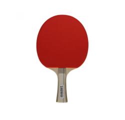 Raquettes tennis de table bois manche ergonomique       caoutchouc picots retournes   coloris assortis