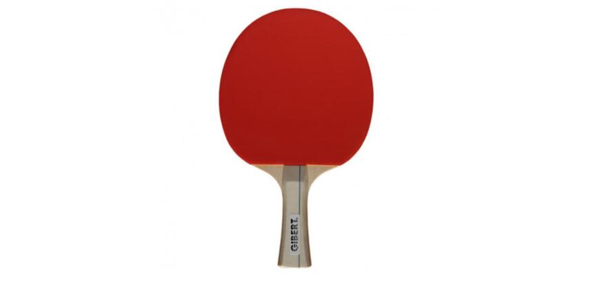 Raquettes tennis de table bois manche ergonomique       caoutchouc picots retournes   coloris assortis