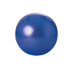 Ballon geant tremblay balle gymnique pvc regonflable      differentes tailles poids maxi100 kg 55 cm