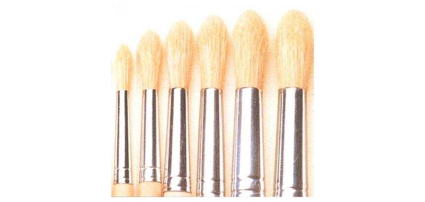 Brosse ronde o'color poils soie blanche n 06 utilisation scolaire lot 10 unites
