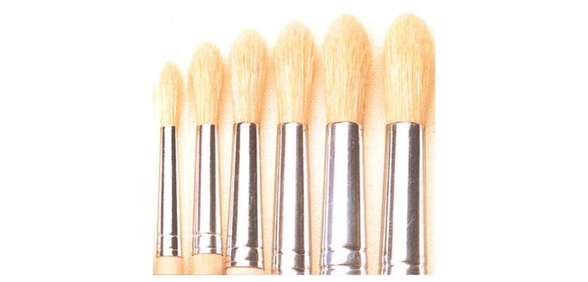Brosse ronde o'color poils soie blanche n 08 utilisation scolaire lot 10 unites