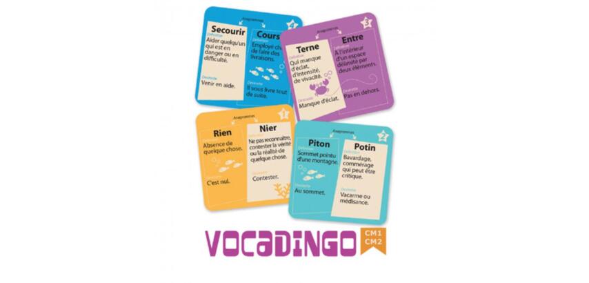 Apprendre a lire et a ecrire cocktail games vocadingo cm1  au cm2 enrichir vocabulaire   50 cartes 4 niveaux