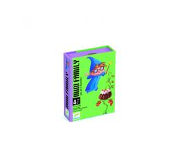 Jeu des 7 familles mini family djeco