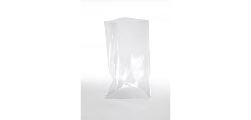 Lot sachets transparents graine creative 18x30 cm 10   unites