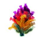 Plumes automne graine creative sachet de 25g 200    unites