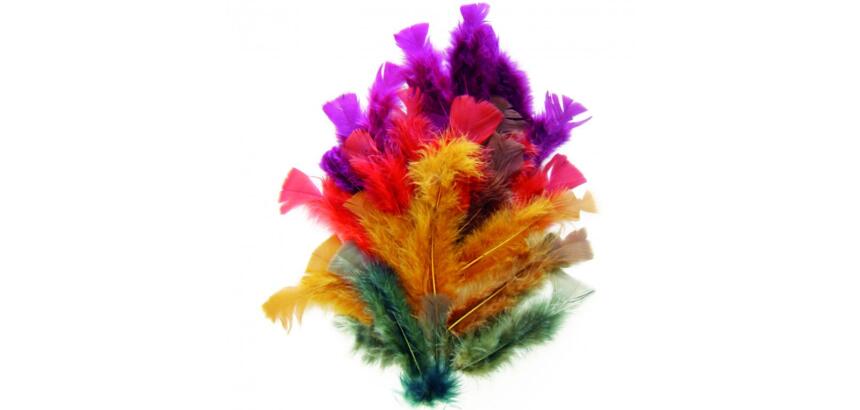 Plumes automne graine creative sachet de 25g 200    unites