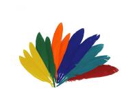 Plumes indien fontorpin si 13 cm sachet 60 unites coloris   assortis