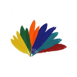 Plumes indien fontorpin si 13 cm sachet 60 unites coloris   assortis