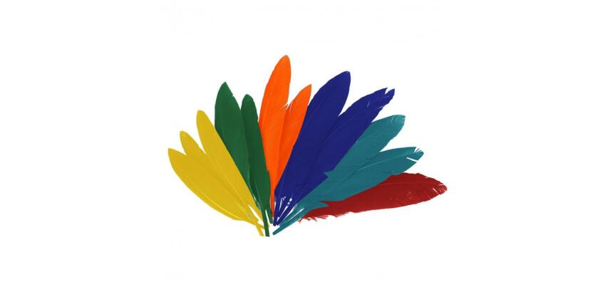 Plumes indien fontorpin si 13 cm sachet 60 unites coloris   assortis