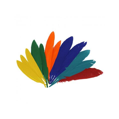 Plumes indien fontorpin si 13 cm sachet 60 unites coloris   assortis