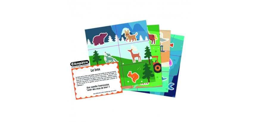 Bon point cleopatre images animaux dessines 9x6cm lot de 120 unites