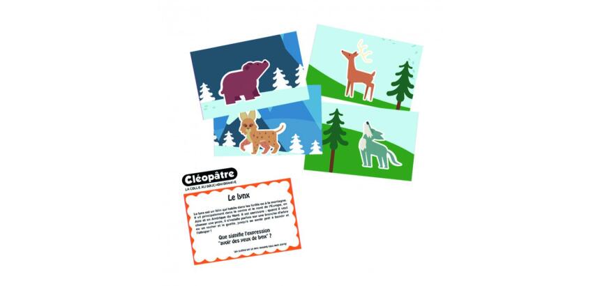 Bon point cleopatre images animaux dessines 9x14cm lot   de 48 unités