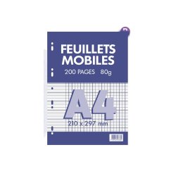Feuillets mobiles conquerant 21x29,7 cm 200 pages seyes    80g