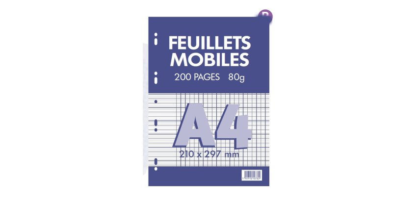 Feuillets mobiles conquerant 21x29,7 cm 200 pages seyes    80g