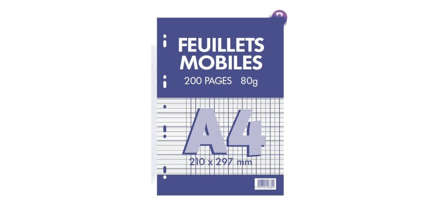 Feuillets mobiles conquerant 21x29,7 cm 200 pages seyes    80g