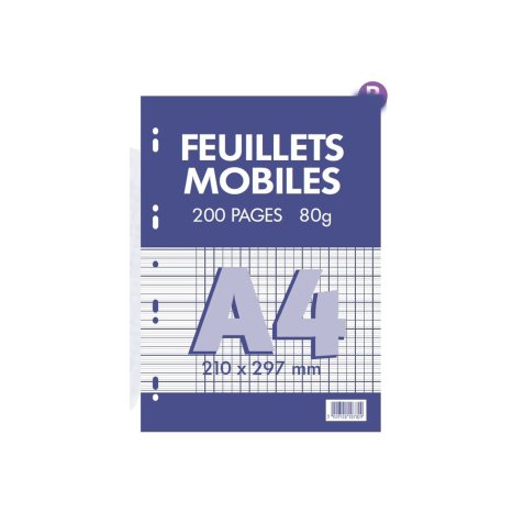 Feuillets mobiles conquerant 21x29,7 cm 200 pages seyes    80g