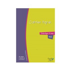 Cahier Oxford serpodile agrafe 210x297 48p ligne 5mm niveau2 vert