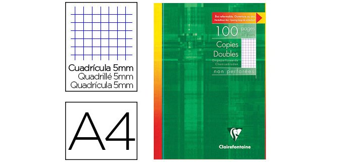 Copies doubles sous étui A4 100 pages non perforées petits carreaux