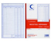 Manifold 'Recettes / Dépenses', A4, dupli, 50 feuillets