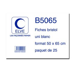 Feuille bristol elve 50x65cm 190g uni blanc