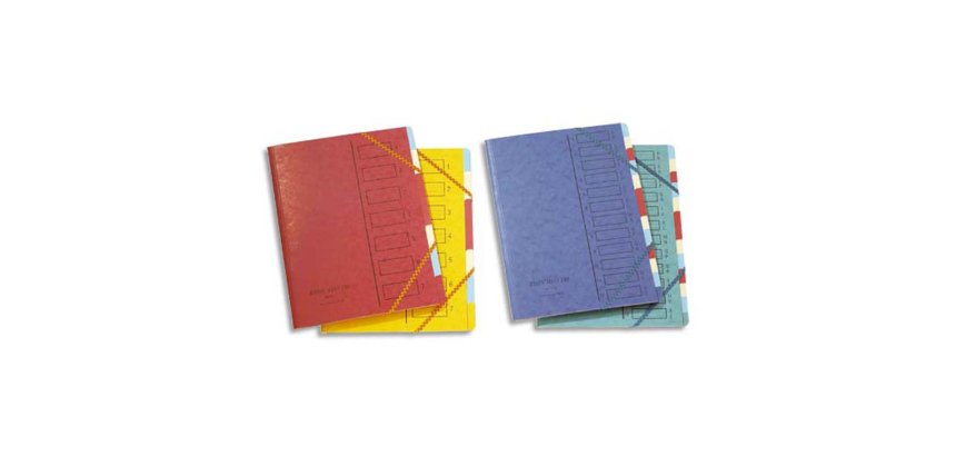 Trieur extendos carte simple 245x315mm 12 compartiments dos agrafé intérieur multicolore onglets coloris assortis