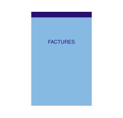 Manifold elve autocopiant 100x155mm foliotage 50 duplis factures