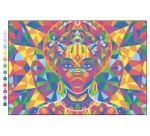 Kit coloriage mystere sans marque theme exotic mandala