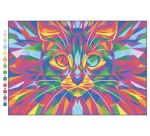 Kit coloriage mystere sans marque theme exotic mandala