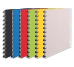 Protège-documents esselte polypropylène vivida 25 pochettes amovibles 264x310x21mm coloris assortis translucide