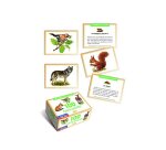 Bon points editions lito les animaux de la foret texte     pedagogique verso 61x82mm     boite 100 unites