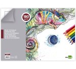 Lave-vitres coldis actiff pro nettoie dégraisse fait briller vitres surfaces modernes pistolet 1l