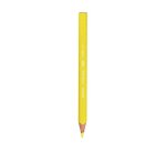 Crayon couleur bic kids evolution triangulaire resine de synthese ultra-resistant   maxi classpack 216 unites