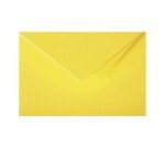 Paquet de 25 cartes simples Pollen 106x213mm 210g/m²