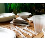 Assiette plate ivoire coldis fibres vegetales              biodegradable diametre 23cm   sachet 50 unites