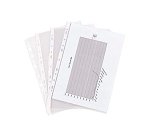 Pochette perforée Economy, A4, PP, grainé