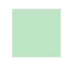 Papier clairefontaine multifonction laser couleur   trophe a3 160g vert parfaite  opacite paquet 250 feuilles