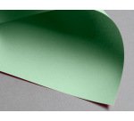 Papier clairefontaine multifonction laser couleur   trophe a3 160g vert parfaite  opacite paquet 250 feuilles