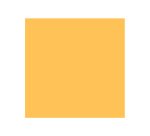 Papier clairefontaine multifonction laser couleur   trophe a3 160g/m2 clementine  parfaite opacite paquet 250