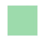 Papier clairefontaine multifonction laser couleur   trophe a3 160g/m2 vert nature parfaite opacite paquet 250