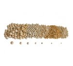 Pack de perles sodertex en bois naturea - 7 tailles -    575 pcs - 580g - 1 coloris