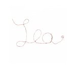 Carte de fil sodertex m tal cuivre 60m - diam 0,3 mm - 1  pc - 1 coloris